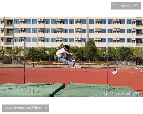 突破极限的背后：运动员讲述奋斗与坚持的真实故事